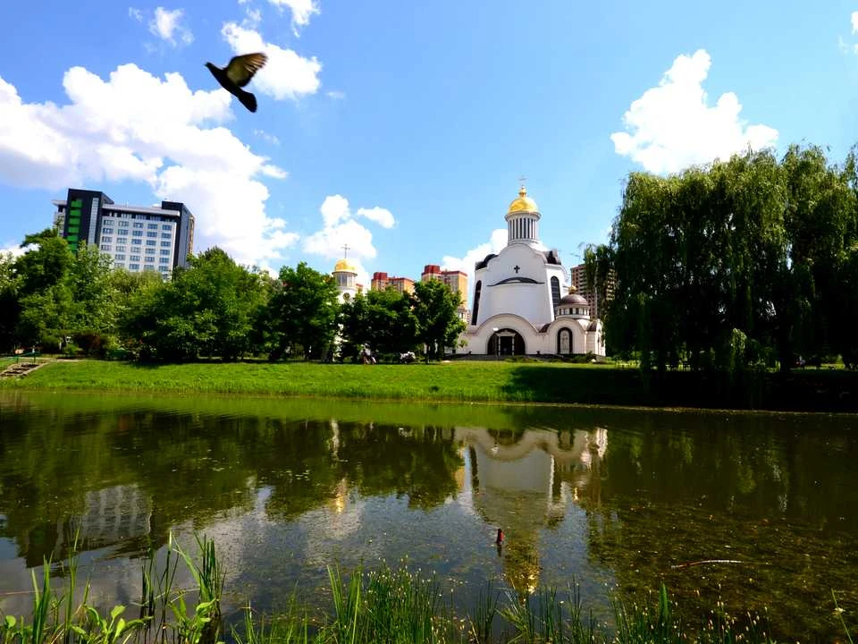 Квартира. Київ, Самійла Кішки вул.