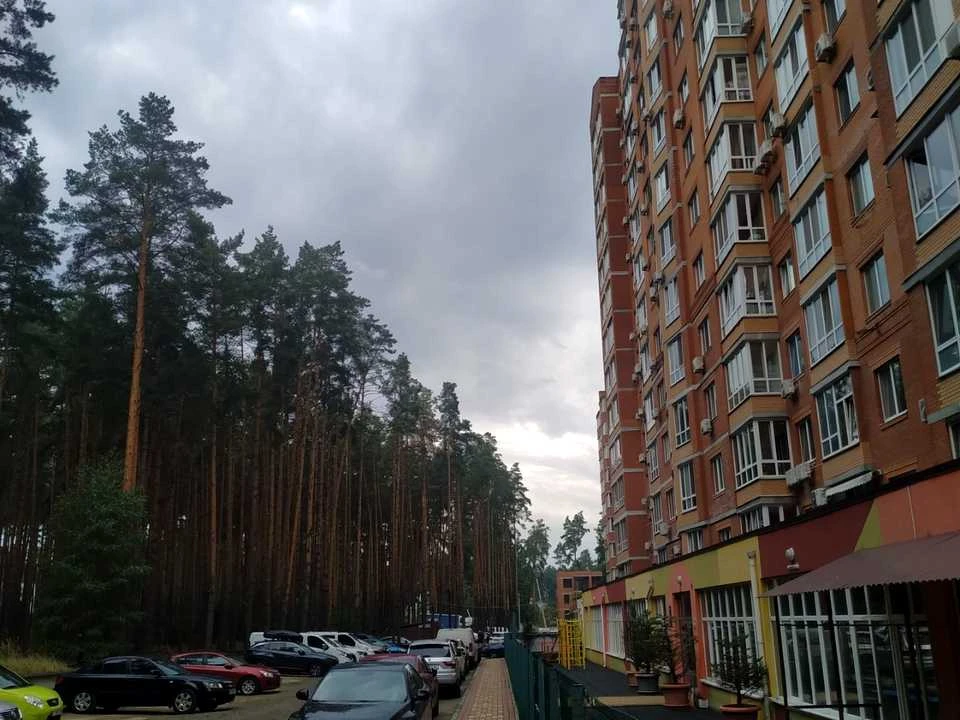 Квартира. Ірпінь, Олени Теліги вул.