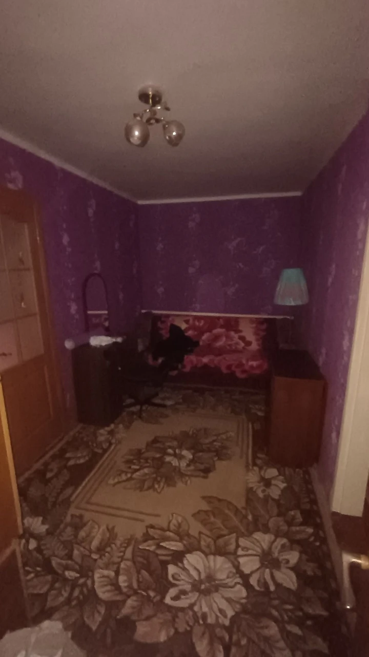 Продам будинок Василенкове поле. Ініціативна  51