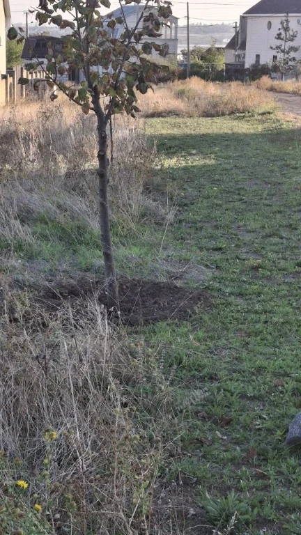 Продається  земельна ділянка Матвіївка.
