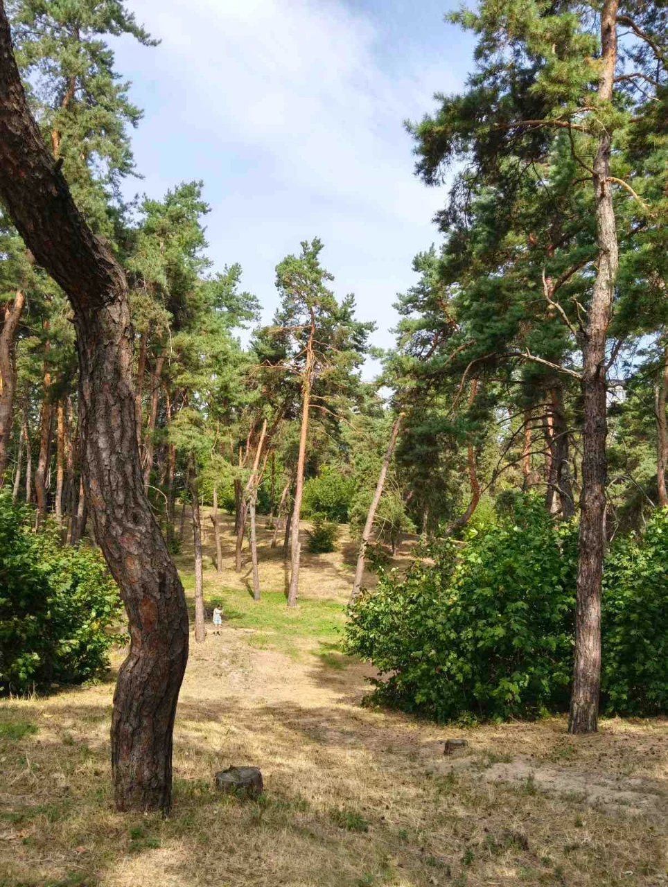 Продаж однокімнатної квартири в цегляному будинку. Без коміс