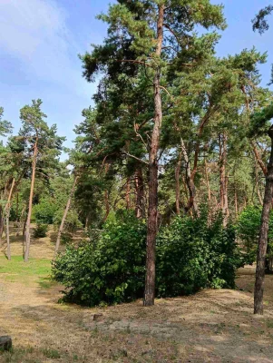 Продаж однокімнатної квартири в цегляному будинку. Без коміс
