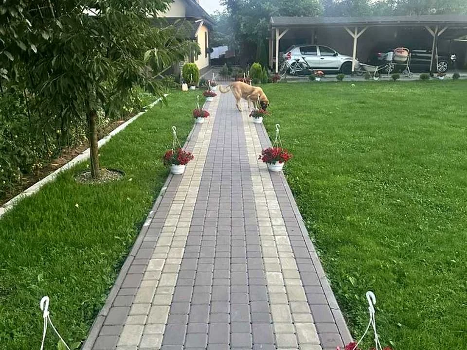 Будинок. Коломия, Єдельвейсів