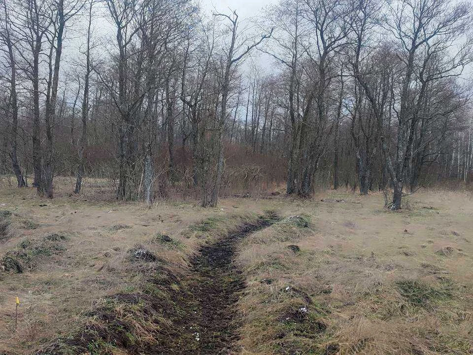 Ділянка. Вишгород