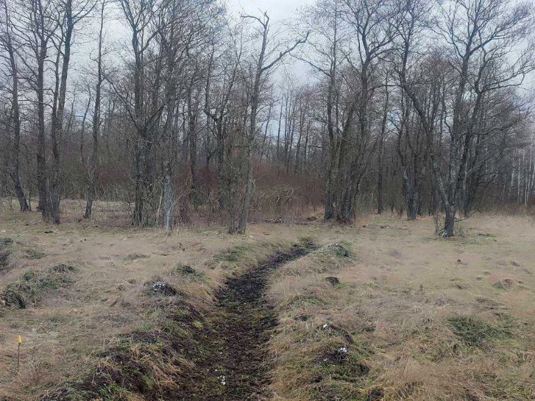 Ділянка. Вишгород