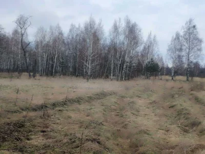 Ділянка. Вишгород