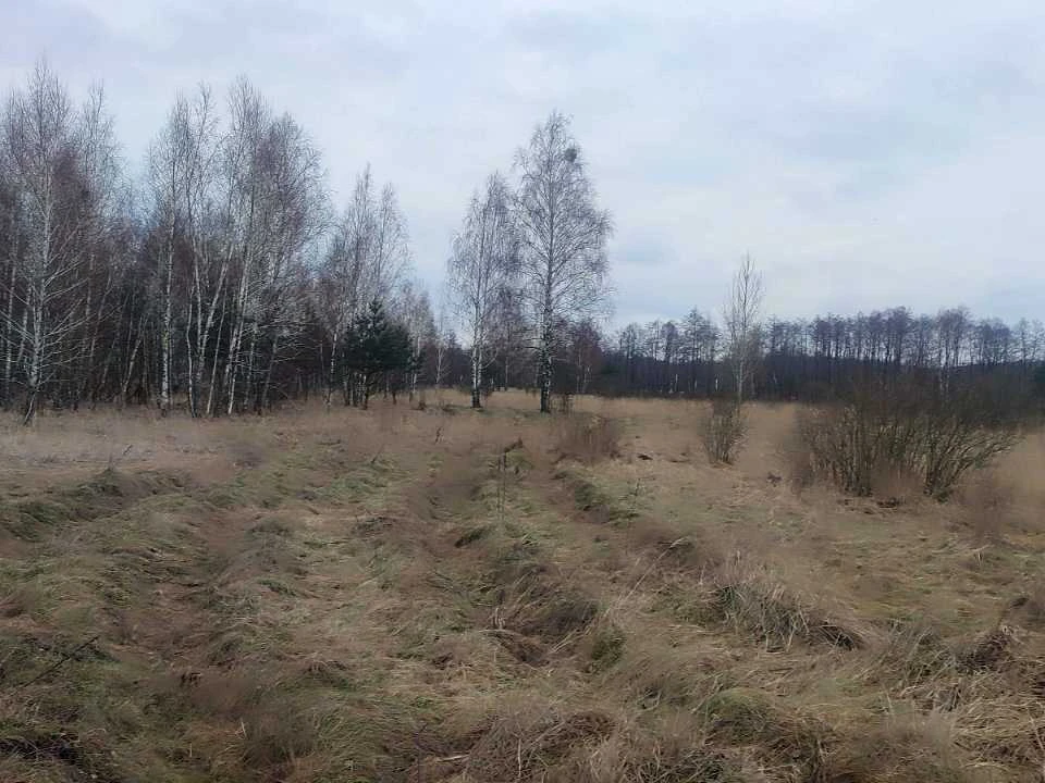 Ділянка. Вишгород