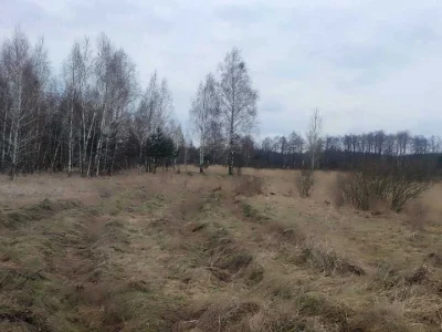 Ділянка. Вишгород