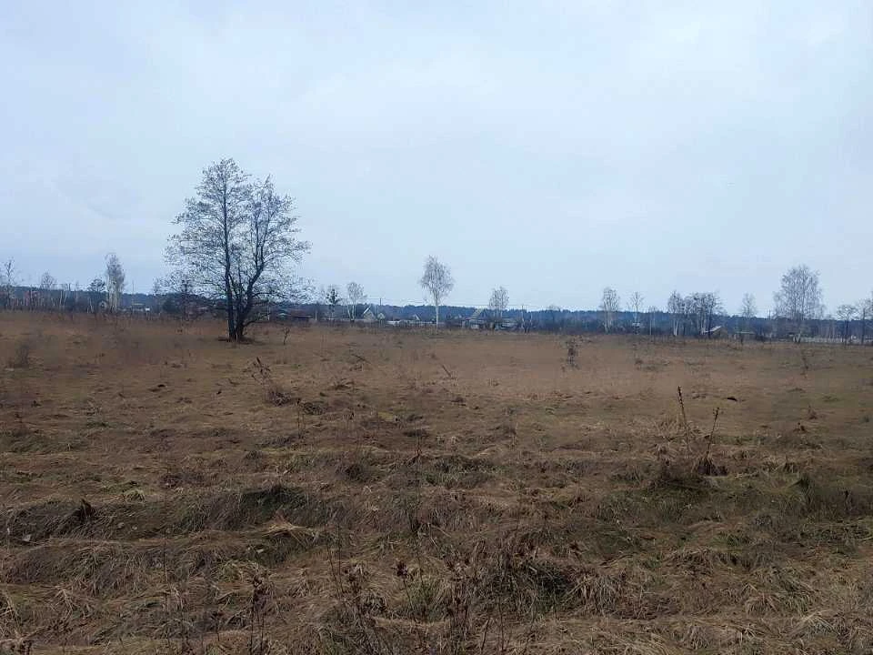Ділянка. Вишгород