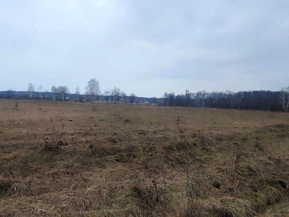 Ділянка. Вишгород