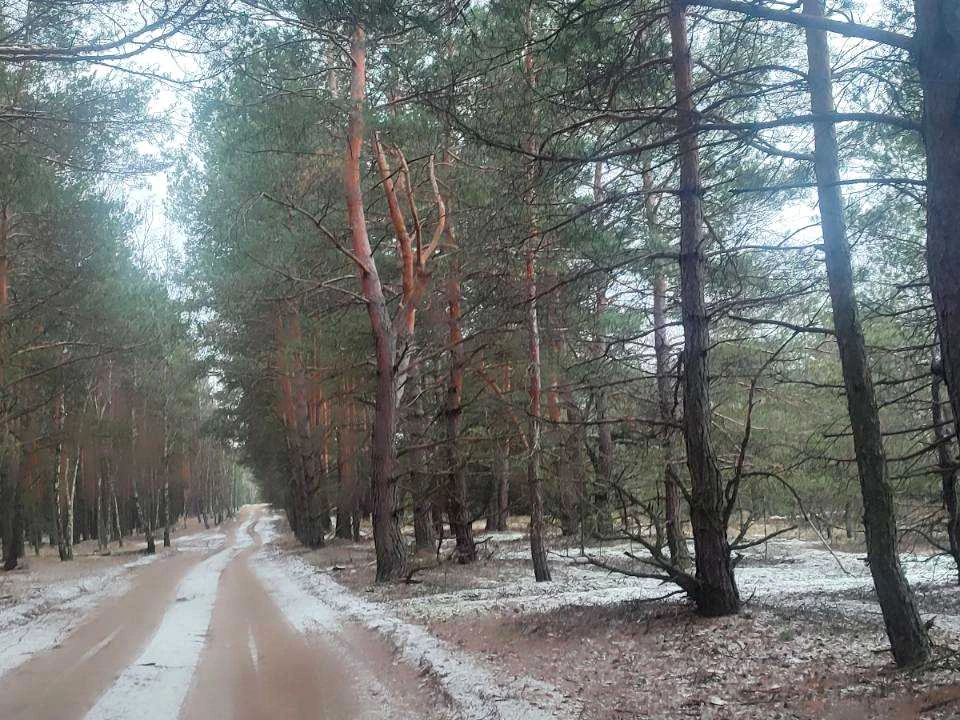 Ділянка. Вишгород