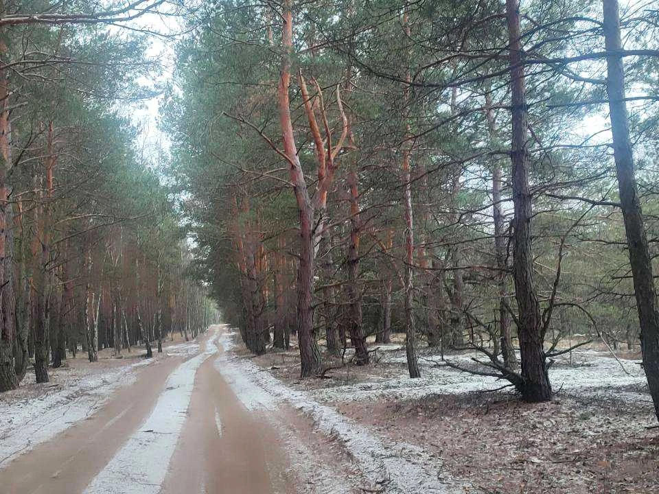 Ділянка. Вишгород