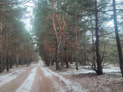 Ділянка. Вишгород