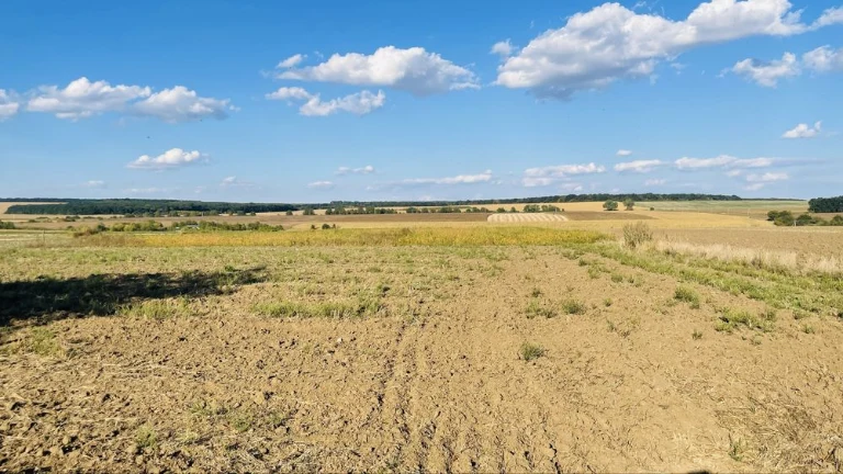 Продам 2 га землі