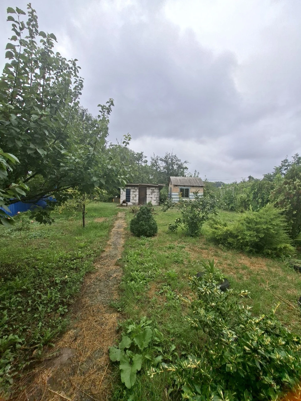 Продам дом-дачу в Самаровке