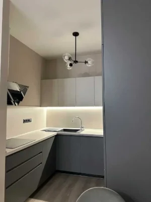 1-комнатная квартира 46,7М² в ЖК Элегия Парк • 10/25 • Дизай