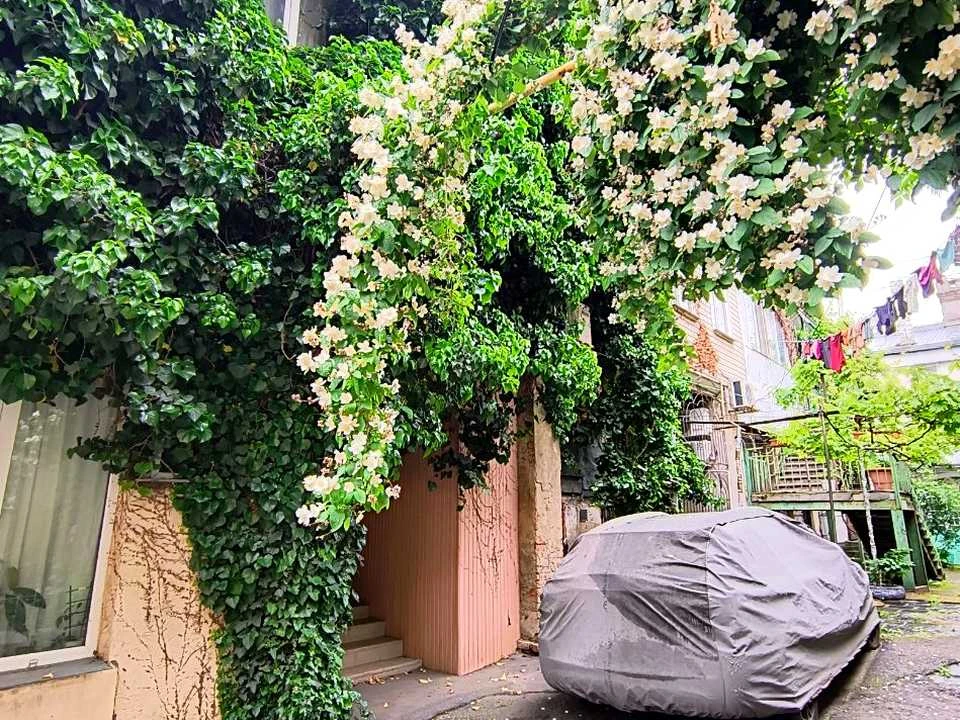 Квартира. Одеса, Успенська вул.