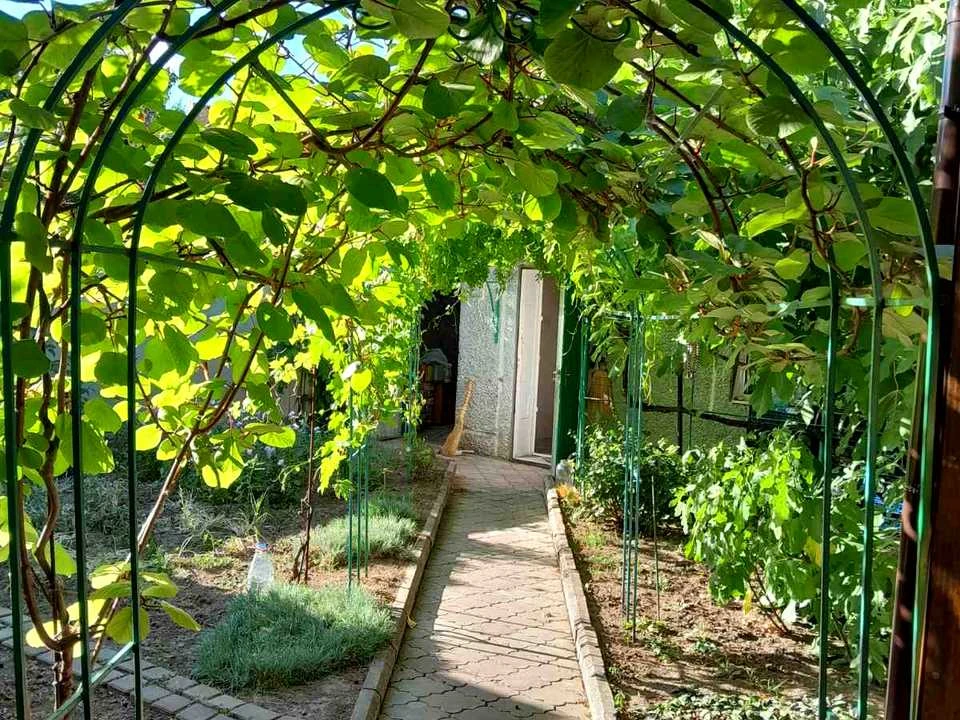 Квартира. Одеса, Дмитріївська вул.