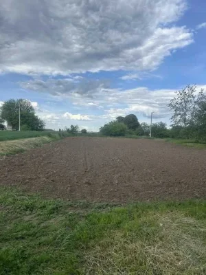 Добротний, цегляний будинок під Полтавою!