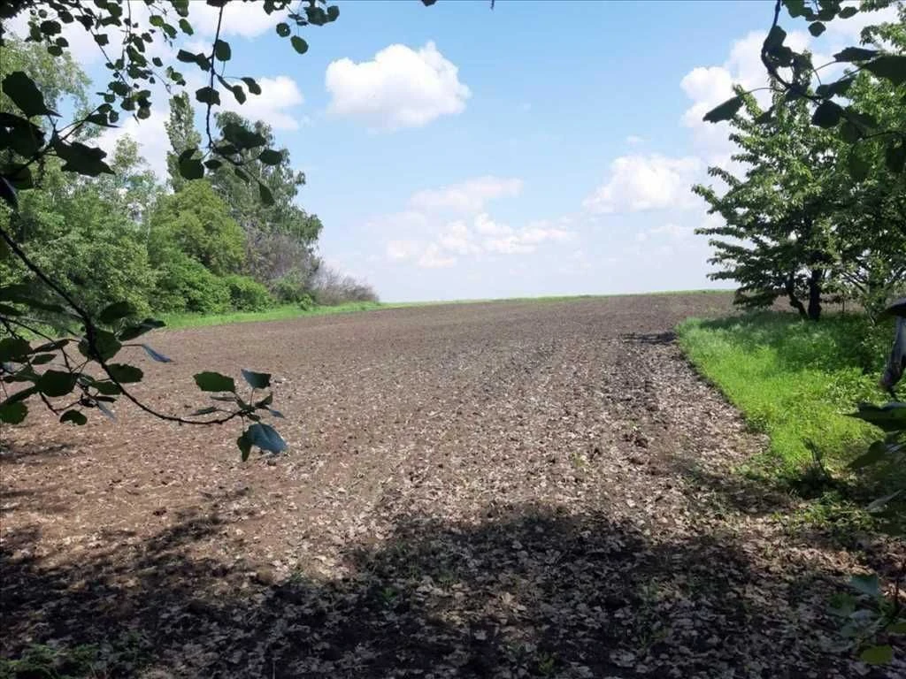 Бюджетний будинок з ділянкою.
