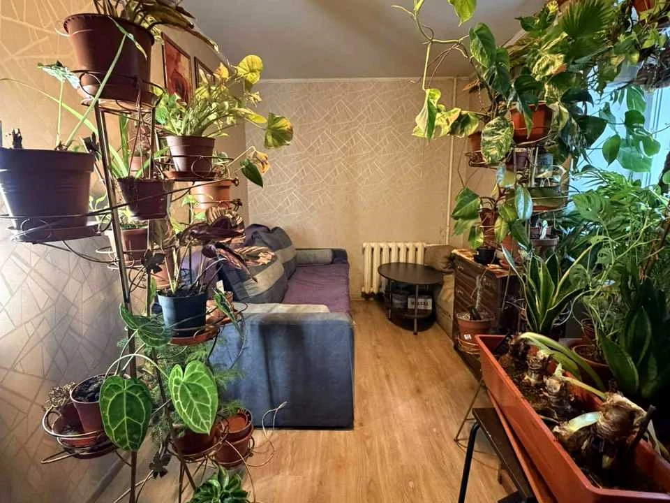 Квартира. Рівне, Княгині Ольги вул.