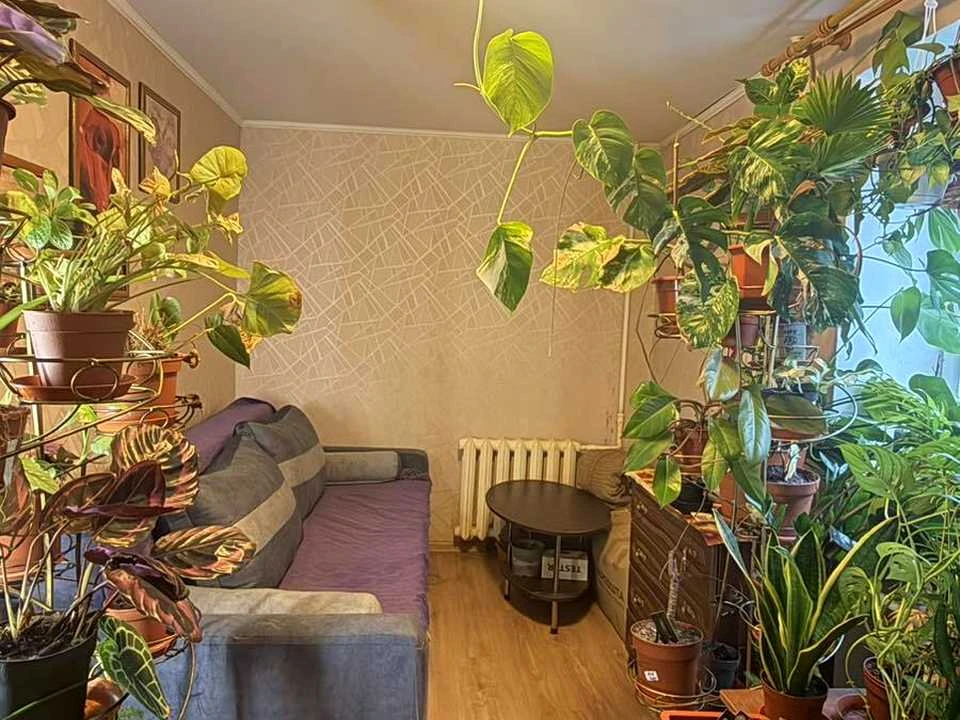 Квартира. Рівне, Княгині Ольги вул.