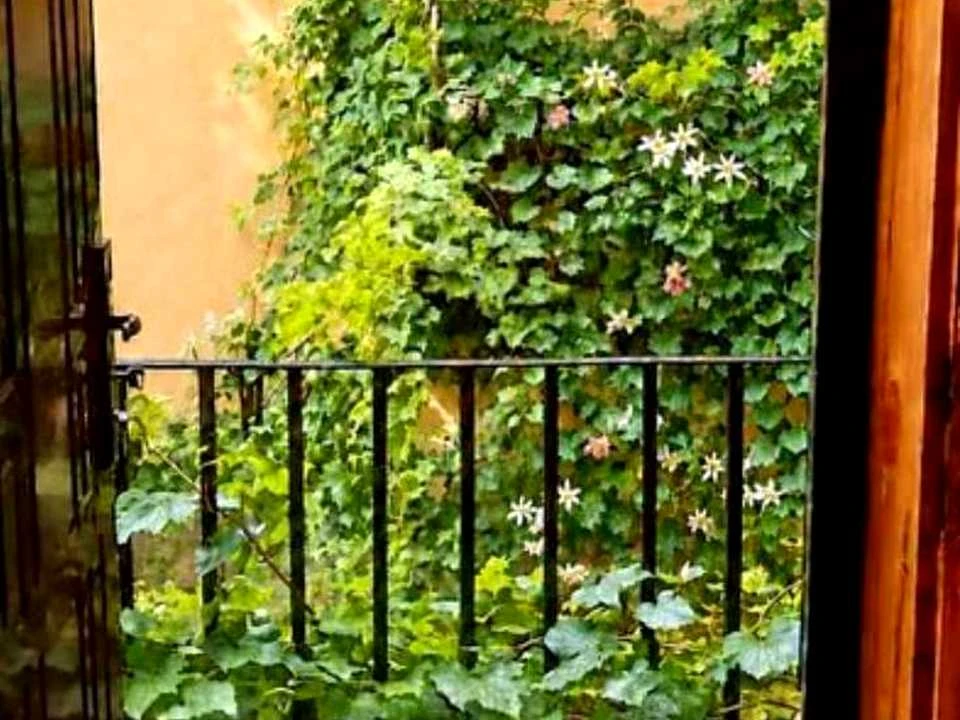 Квартира. Львів, Івана Котляревського вул.
