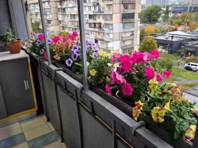 Квартира. Київ, Богатирська вул.