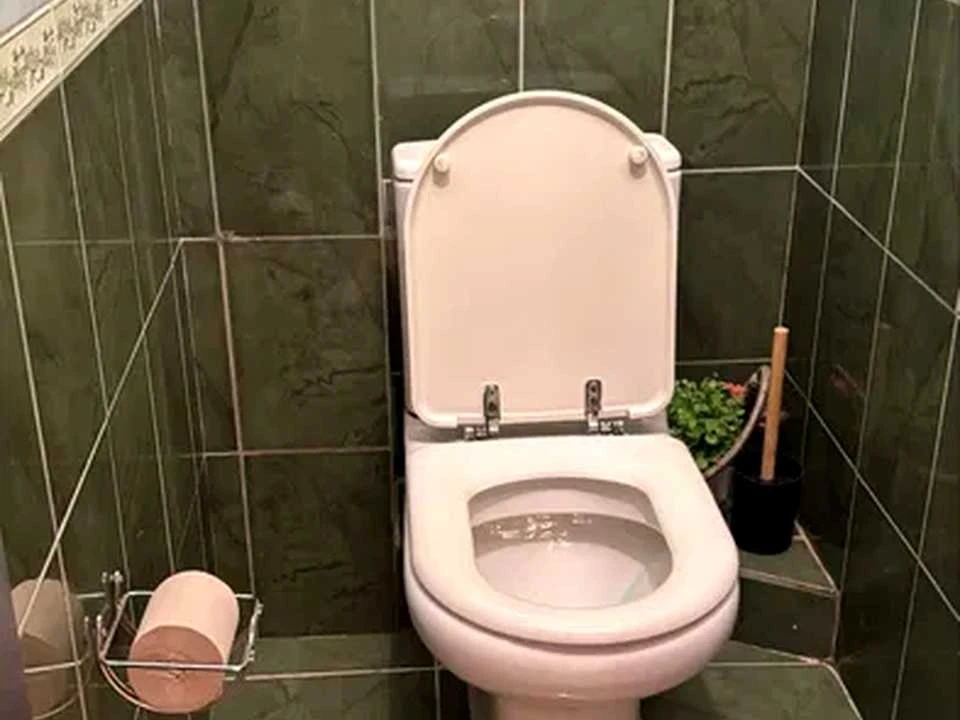Квартира. Київ, Докії Гуменної вул.