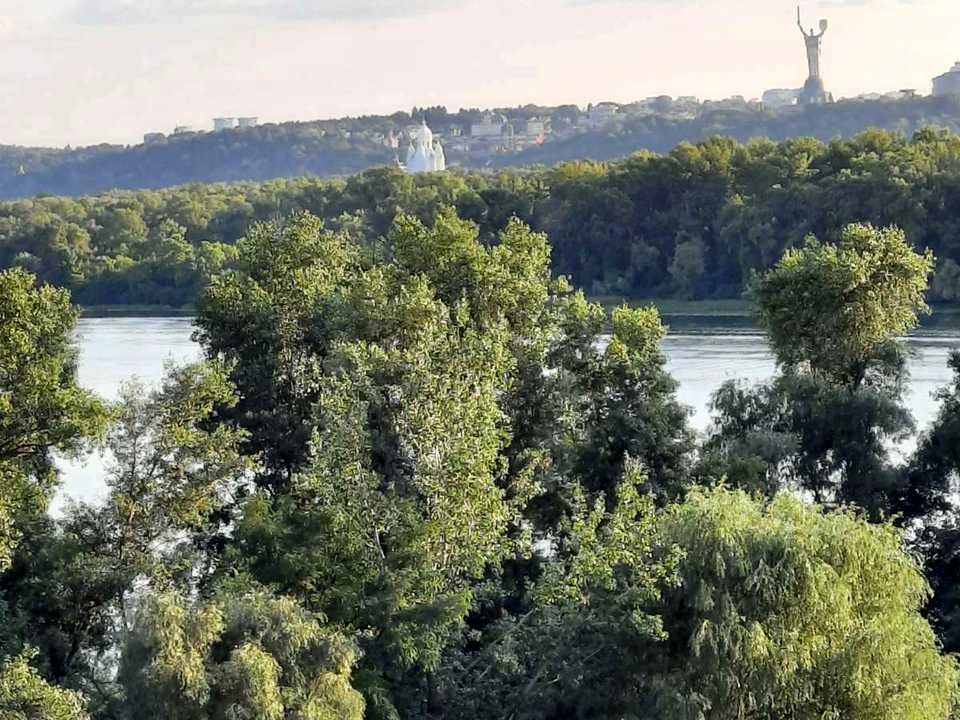 Квартира. Київ, Раїси Окіпної вул.