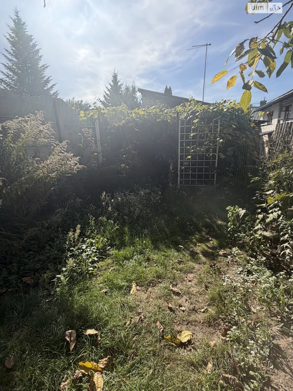 Продаж Квартира Рясне