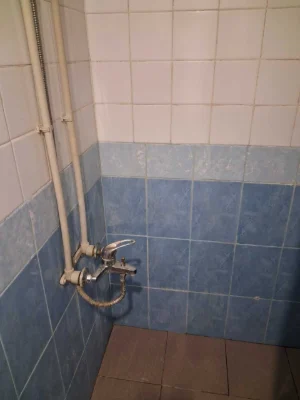 Продам однокомнатную гостинку (405369)