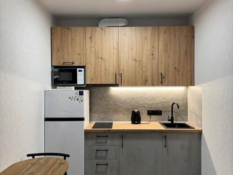 Оренда квартири 1-кімн. 20 м² 9/10 пов.