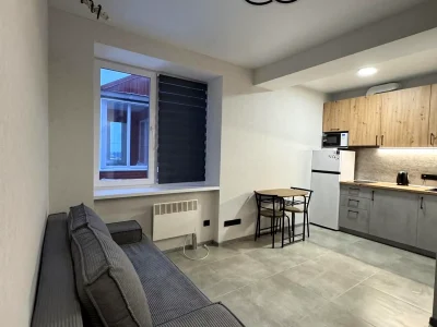 Оренда квартири 1-кімн. 20 м² 9/10 пов.