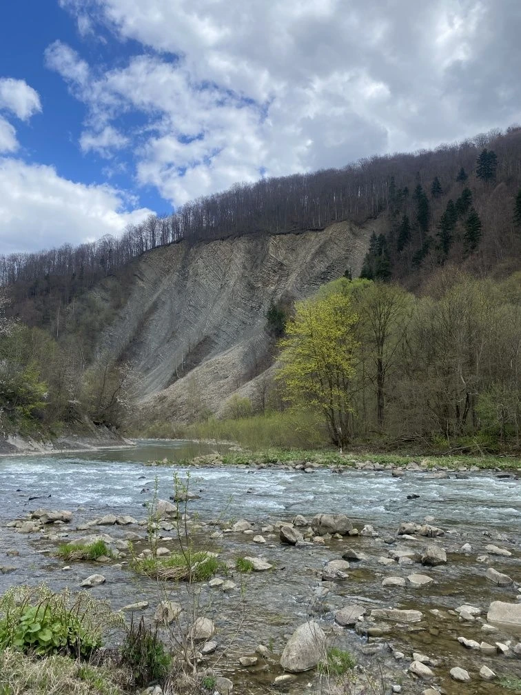 Квартира в Яремче.