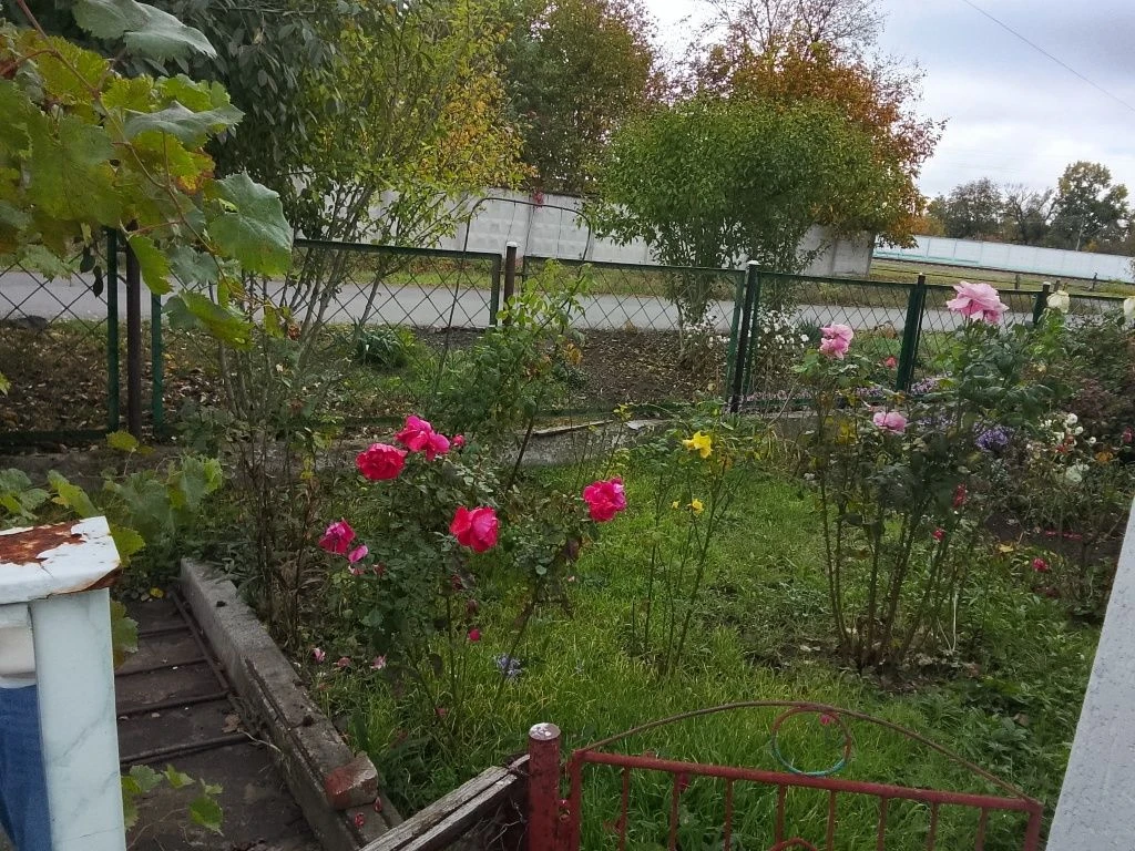 Продається будинок-квартира
