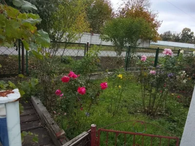 Продається будинок-квартира