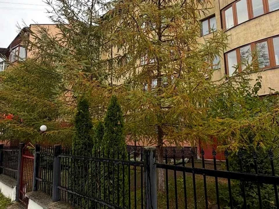 Квартира. Івано-Франківськ, Вербова вул.