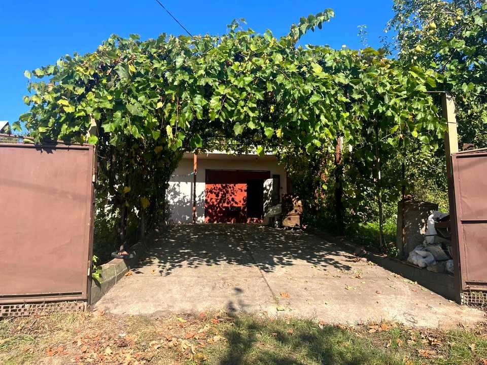 Будинок. Хмельницький, Наш ліс