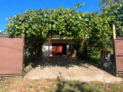Будинок. Хмельницький, Наш ліс