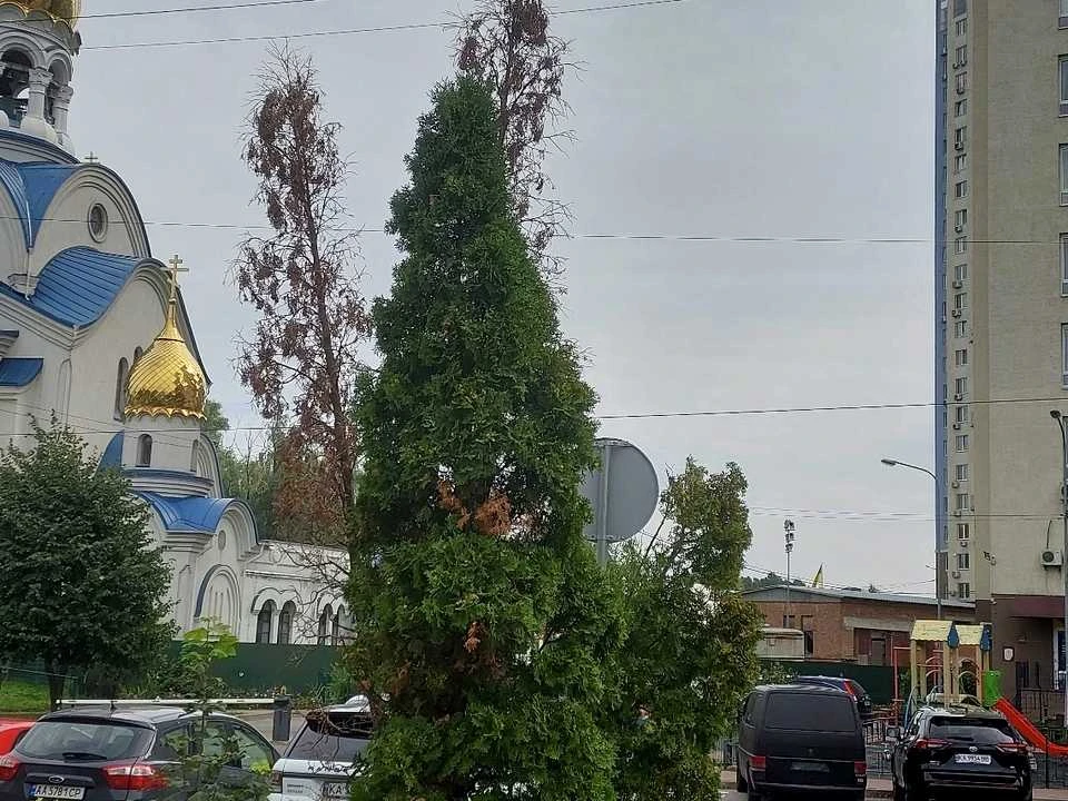 Квартира. Київ, Академіка Глушкова просп.