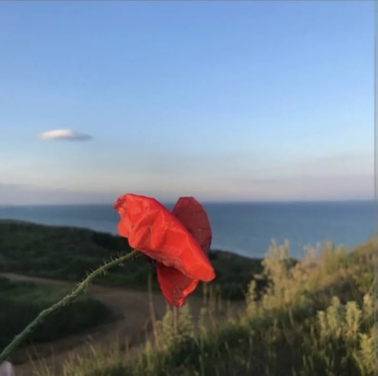 Хороший участок возле моря ВЕТЕРАН Черноморск