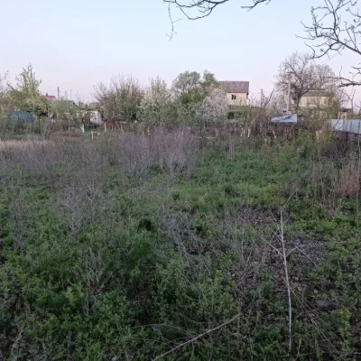 Продам участок земли в обществе Юность 1.