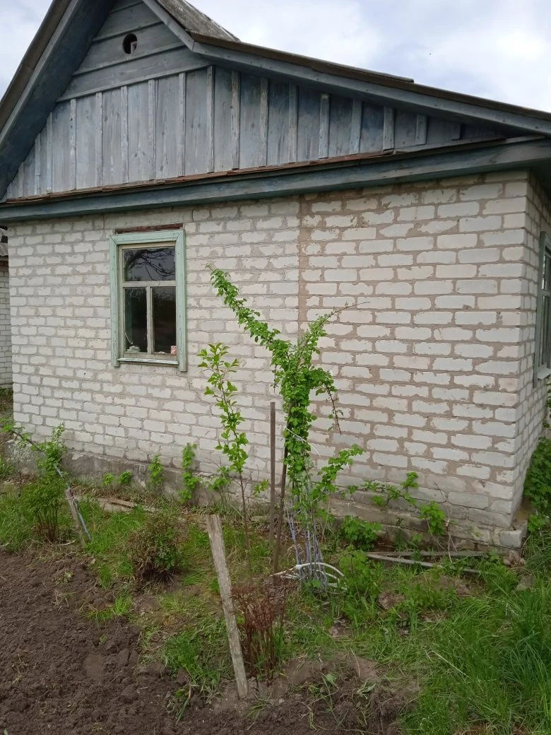 Сад 6 соток с постройками