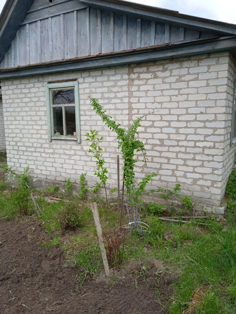 Сад 6 соток с постройками