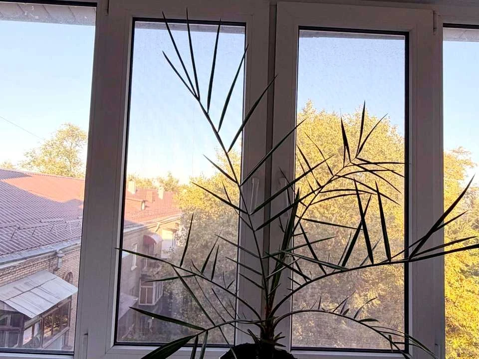 Квартира. Запоріжжя, Маяковського просп.