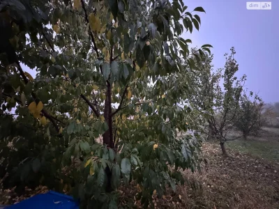 Продаж Ділянка під житлову забудову Замостянський