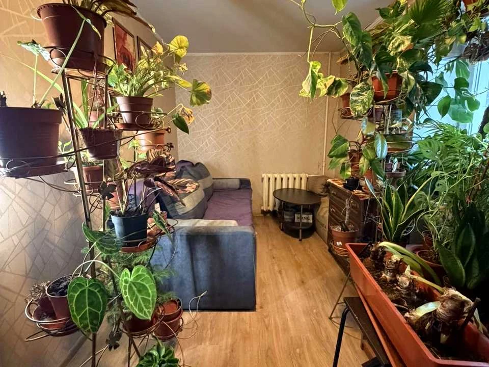 Квартира. Рівне, Княгині Ольги вул.