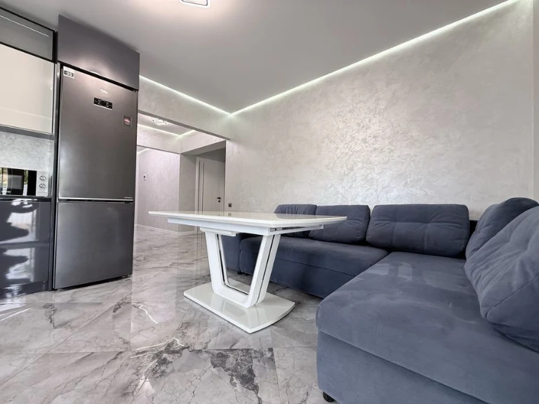 Selling a one-story house with renovation
