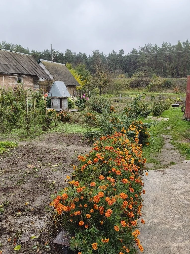 Пропонуємо до продажу будинок у Фастові.